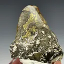 Gold Polished Ore Section Sleeper Mine Awakening Mining District Humboldt Co. - image 2