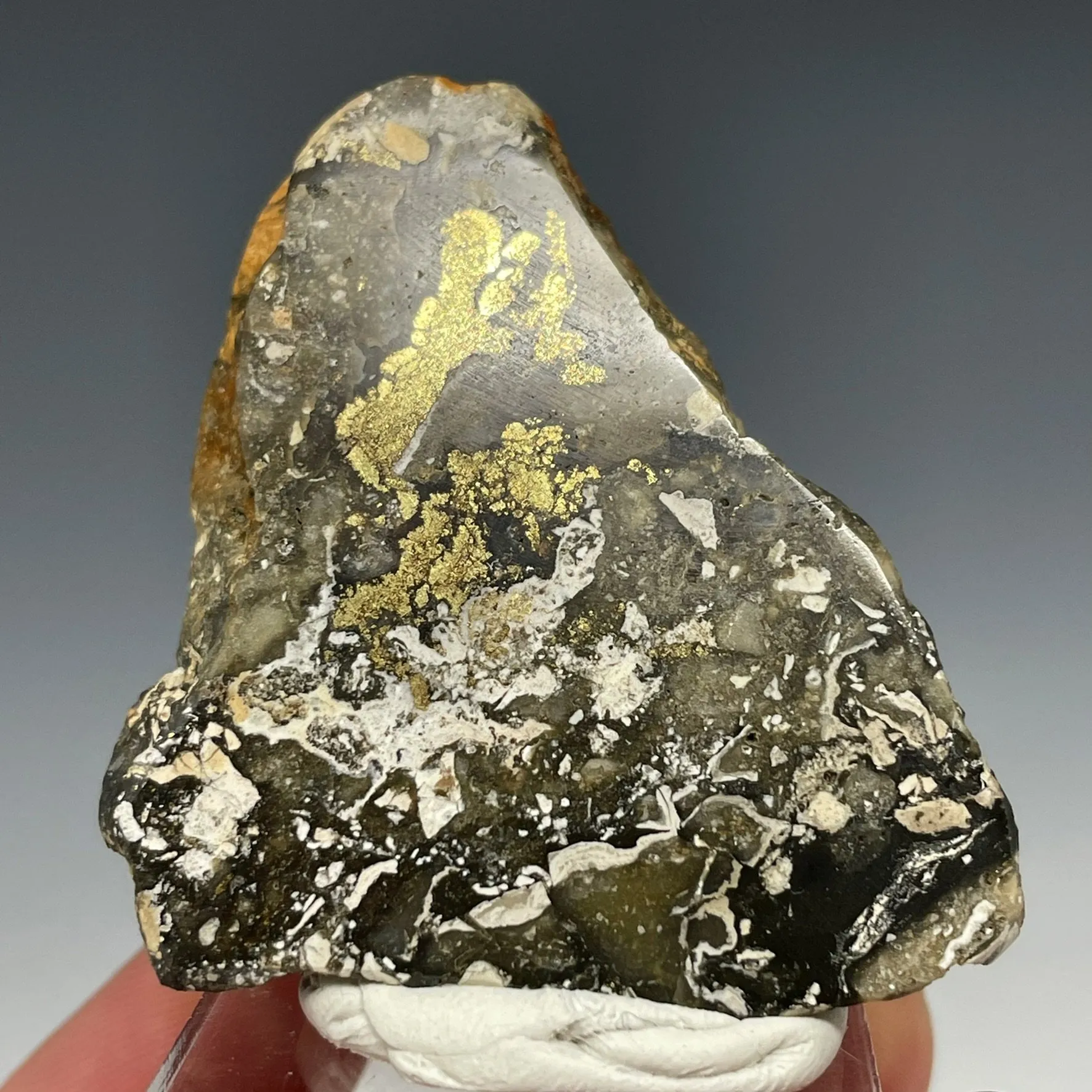 Gold Polished Ore Section Sleeper Mine Awakening Mining District Humboldt Co. - image 1