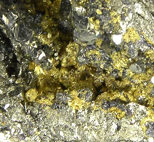 Gold, Pyrite image