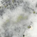 Gold, Pyroxmangite - image 2