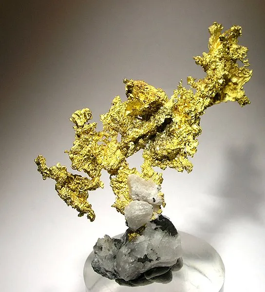 Gold, Quartz image