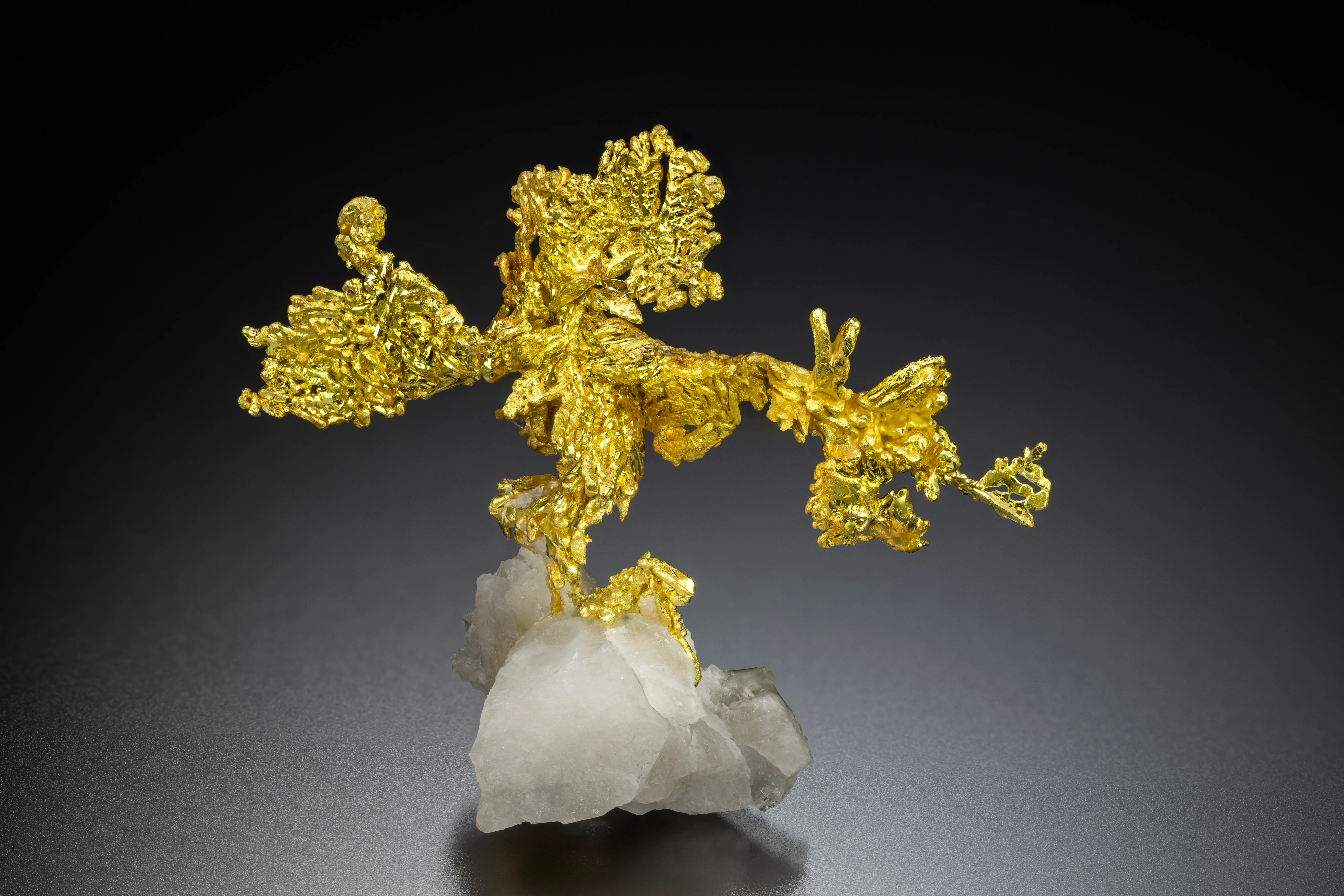 Gold, Quartz from USA, California, Placer County, Michigan Bluff Mining District (Michigan Bluff Min - image 2