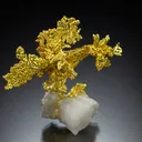 Gold, Quartz from USA, California, Placer County, Michigan Bluff Mining District (Michigan Bluff Min - image 1
