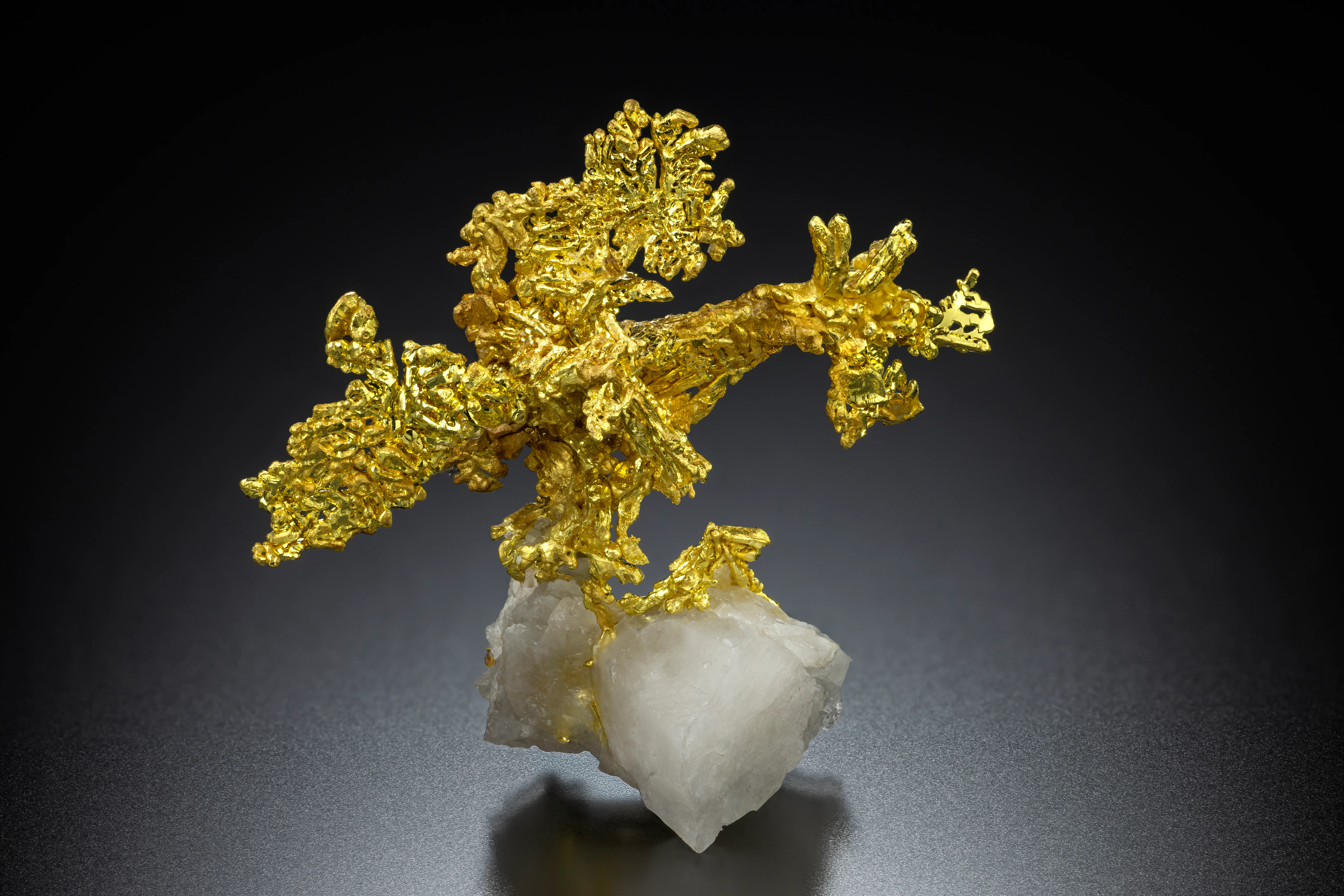 Gold, Quartz from USA, California, Placer County, Michigan Bluff Mining District (Michigan Bluff Min - image 1