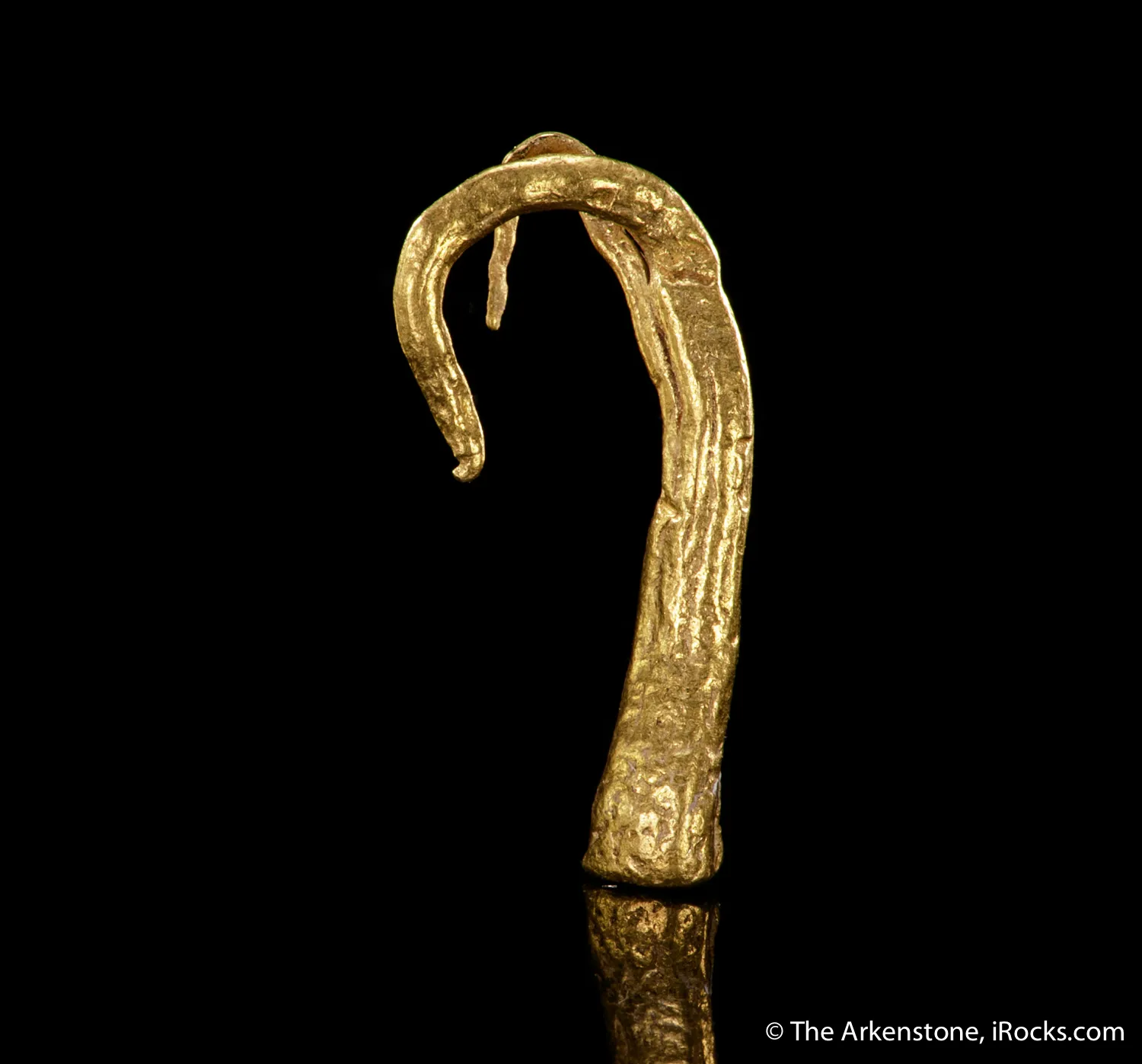 Gold (Ram's horn) - image 4