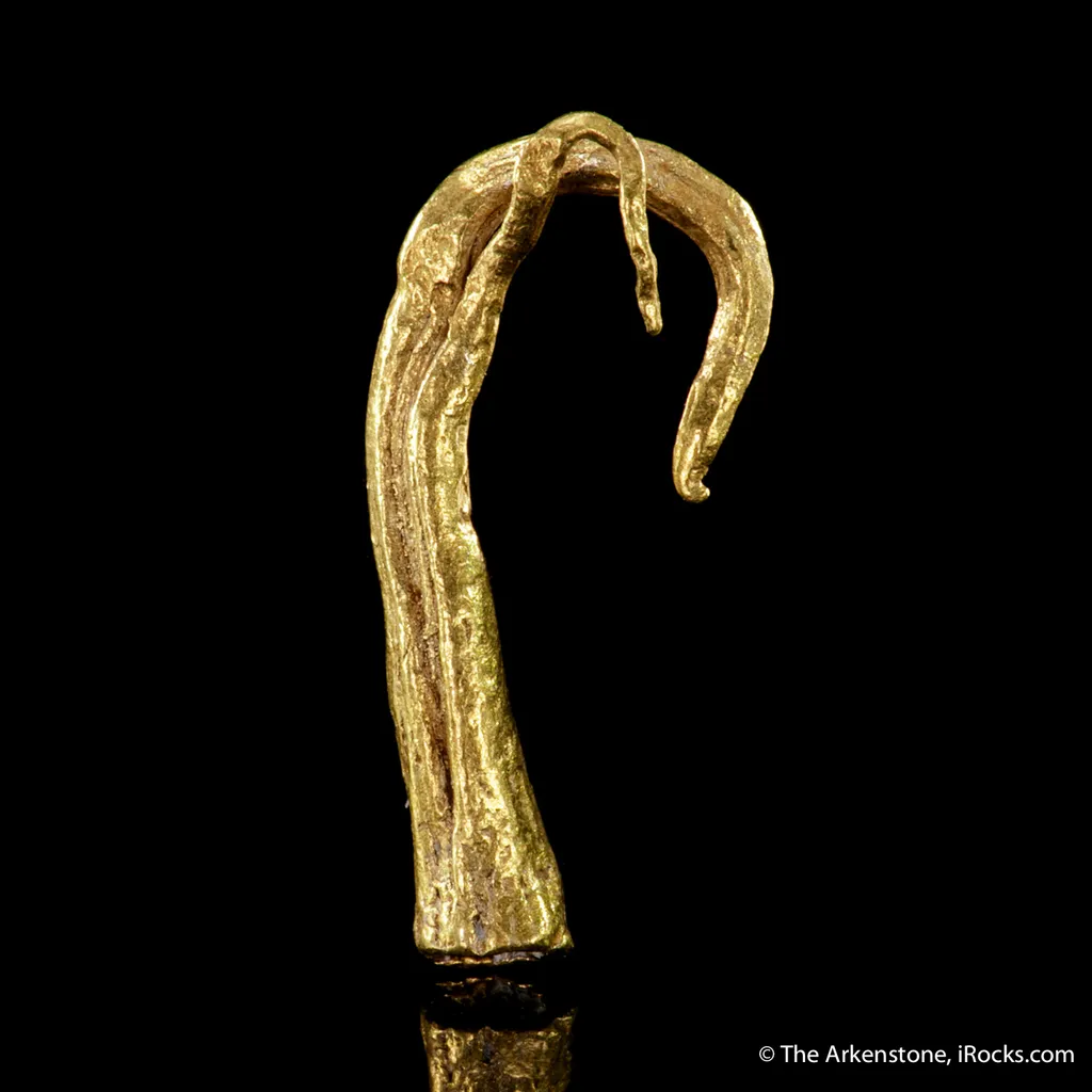 Gold (Ram's horn) image