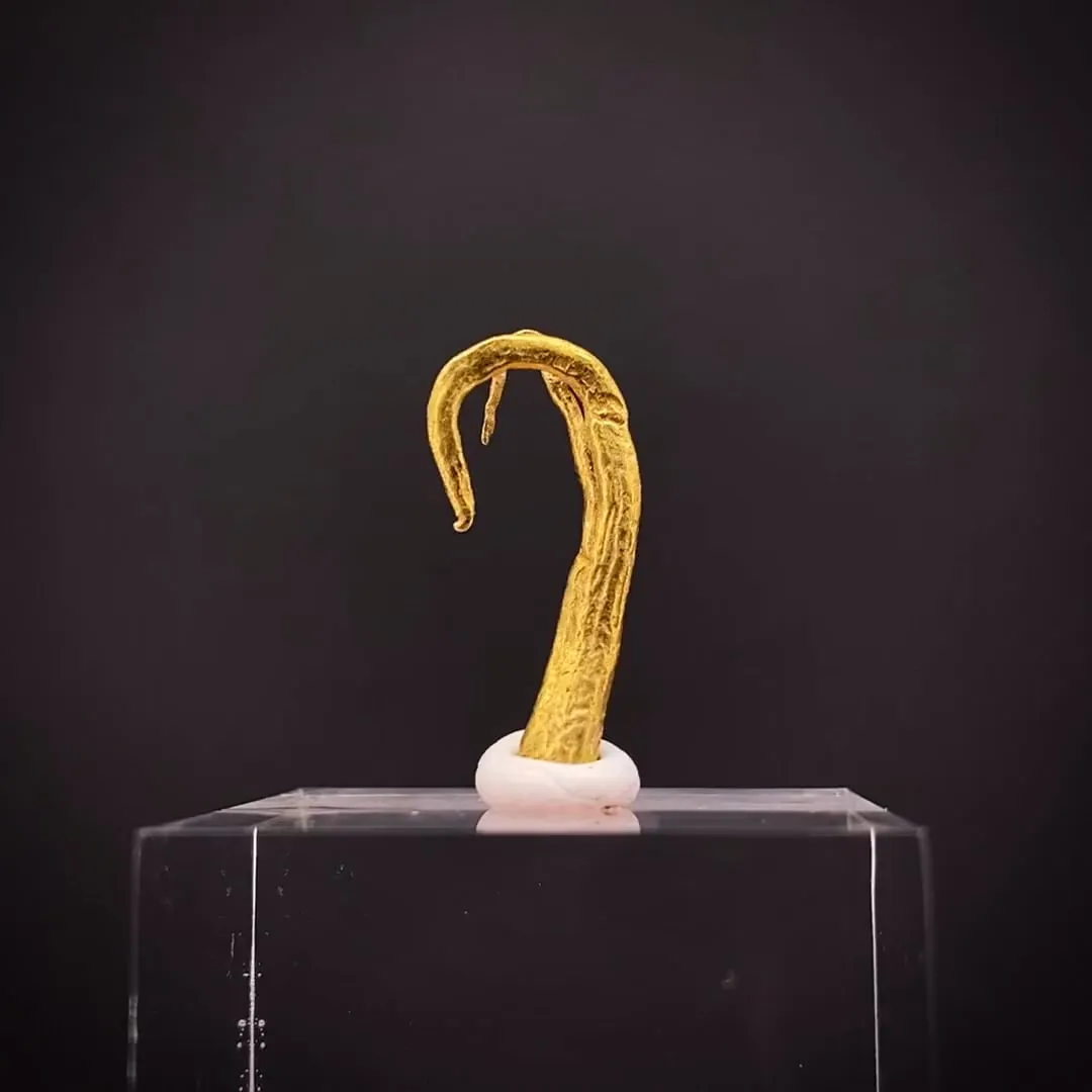 Gold (Ram's horn) - image 2