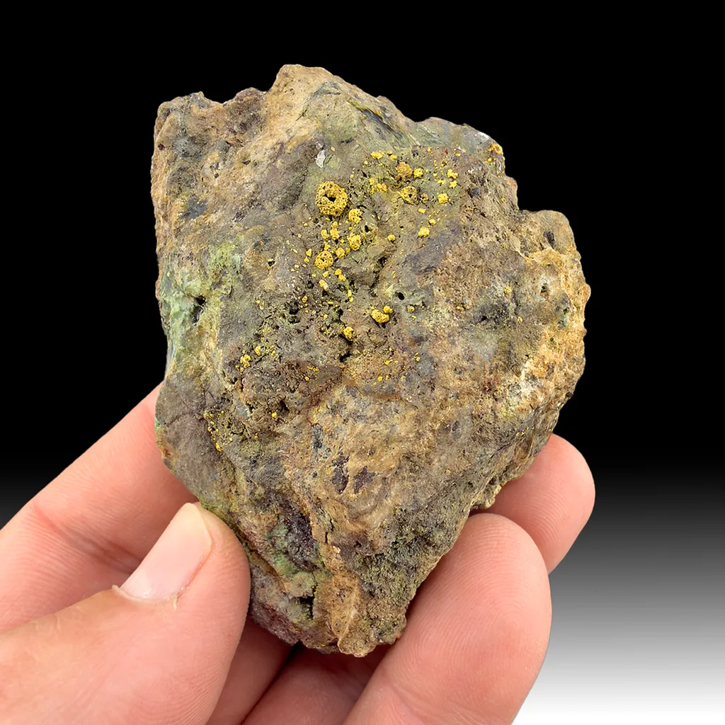 Gold (roasted Gold) - image 1