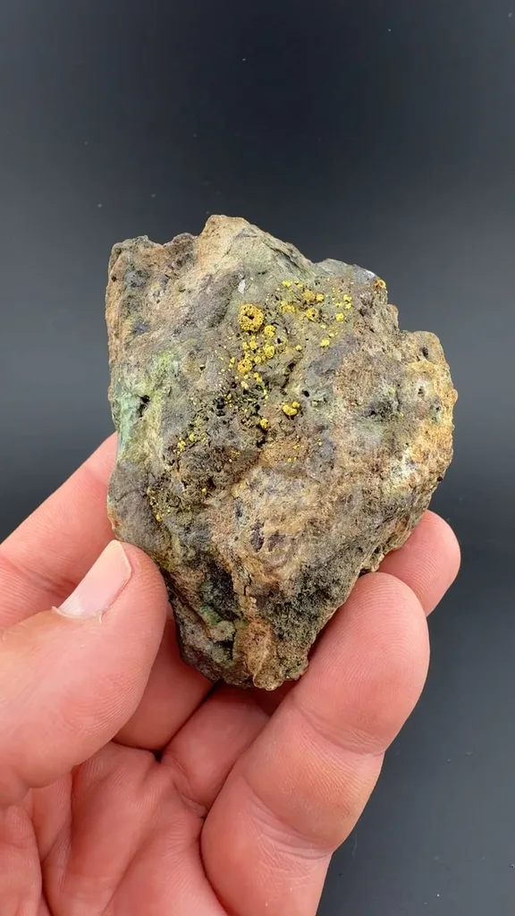 Gold (roasted Gold) - image 2