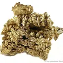 Gold (Several Xl Forms) - image 1