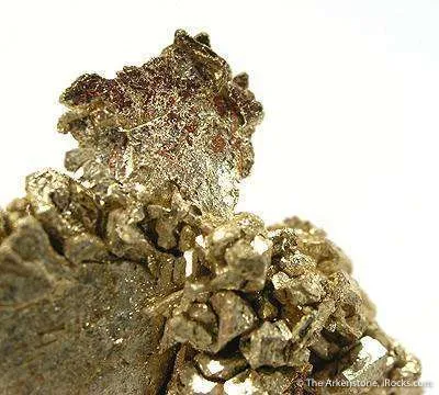 Gold (Several Xl Forms) - image 3
