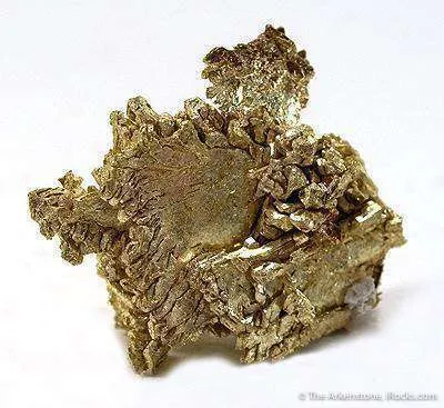 Gold (Several Xl Forms) - image 2