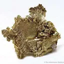 Gold (Several Xl Forms) - image 2