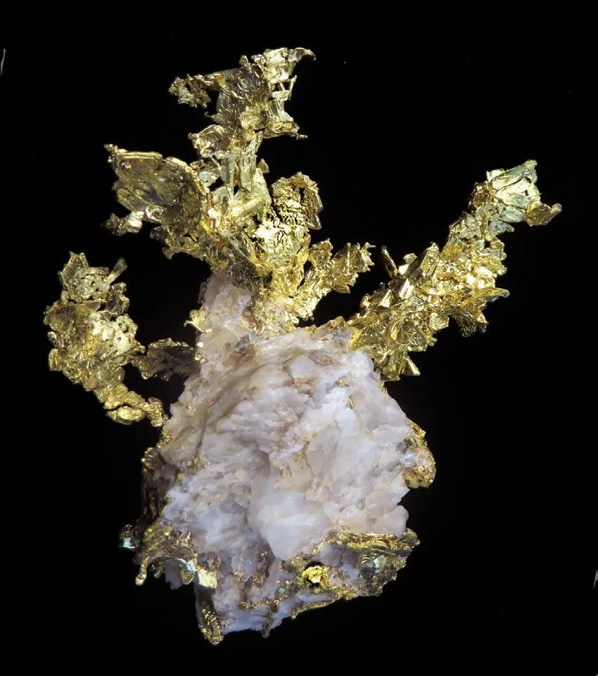 Gold (Spinel-law twins) on Quartz image
