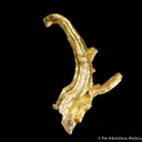 Gold (Spinel twinned wire) - image 4