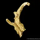 Gold (Spinel twinned wire) - image 3