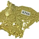 Gold (Spinel Twins) - image 4