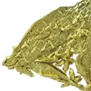 Gold (Spinel Twins) - image 3