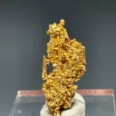 Gold Spinel Twins Round Mountain Mine Toquima Range Nye County - image 2