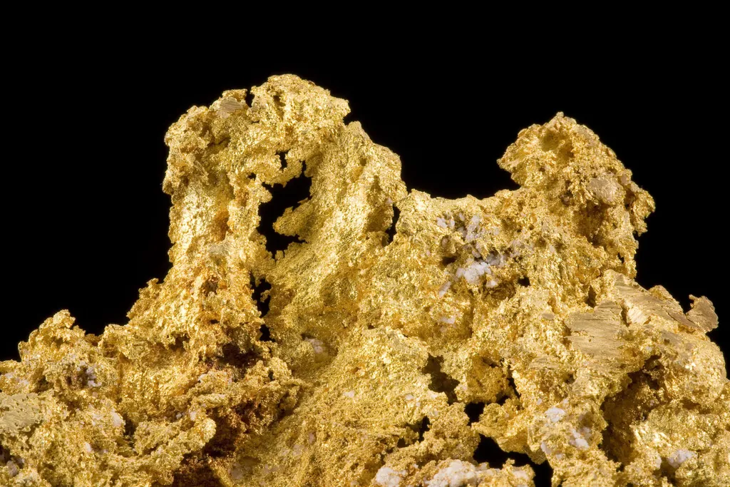 Gold - The Halo - image 3
