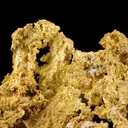 Gold - The Halo - image 3