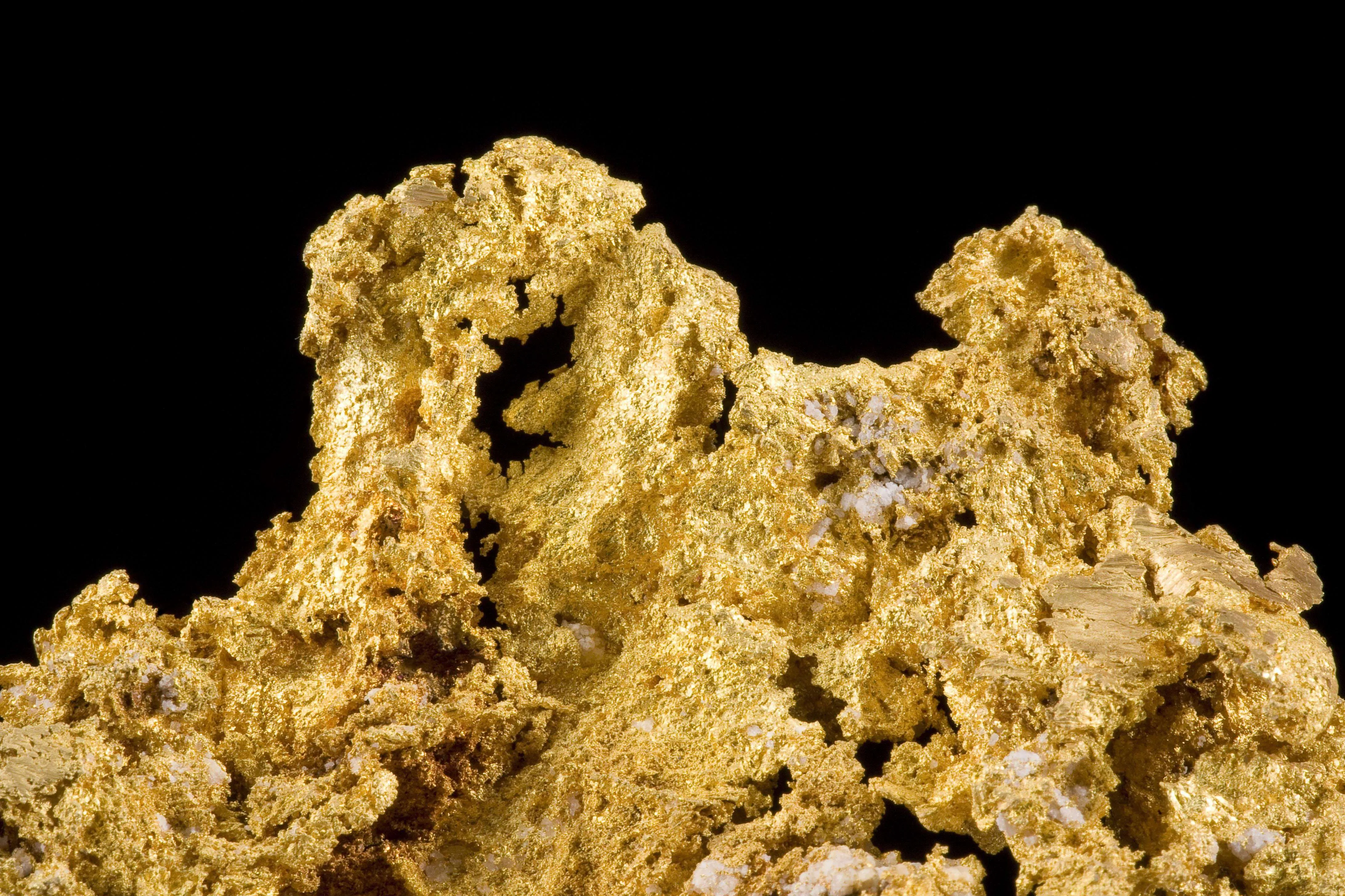 Gold - The Halo - image 3