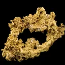 Gold - The Halo - image 1