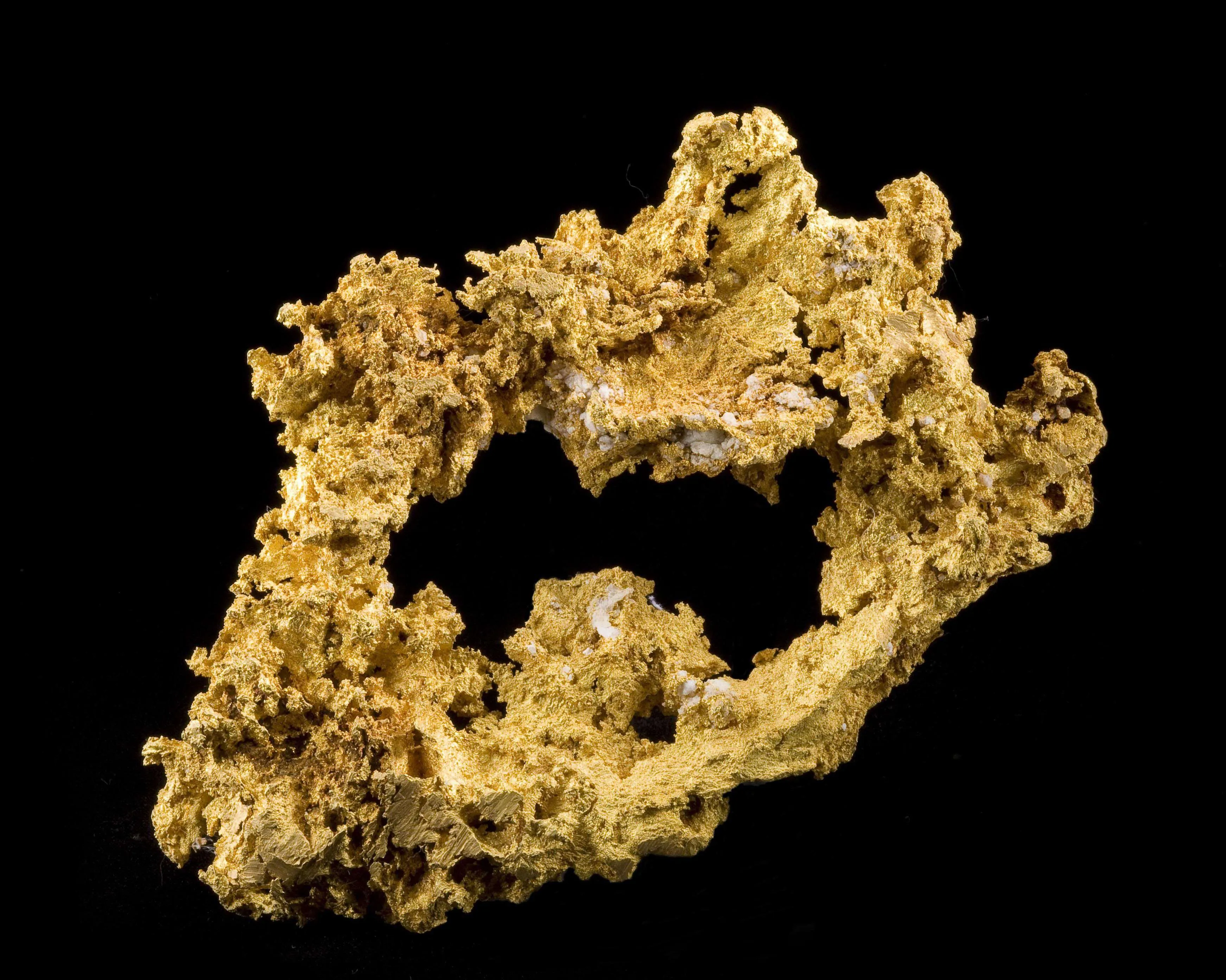 Gold - The Halo - image 1