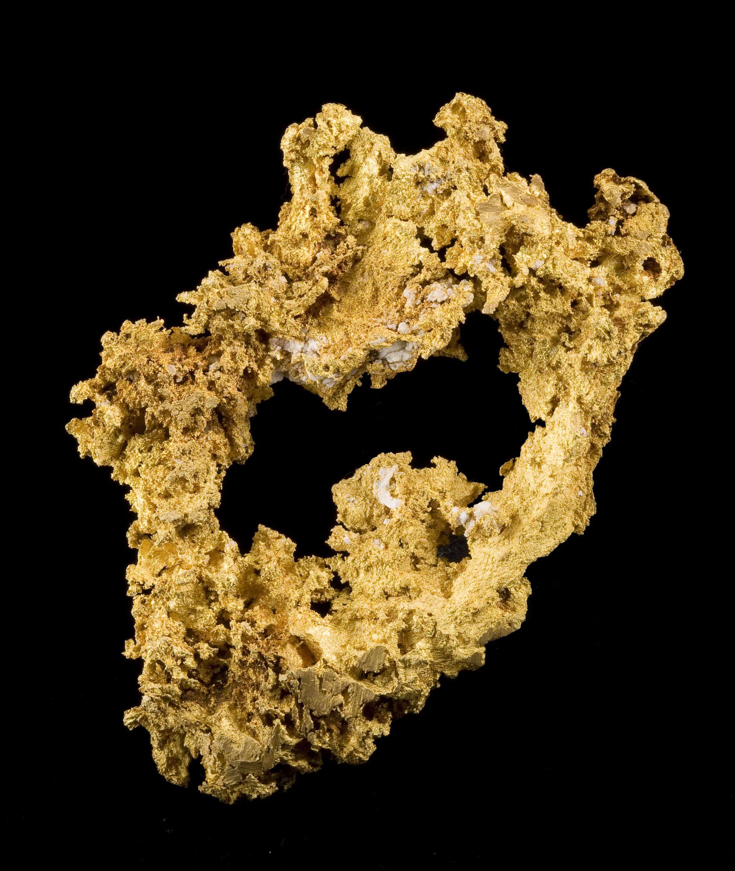 Gold - The Halo - image 2