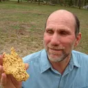 Gold - The Providence Nugget - image 2