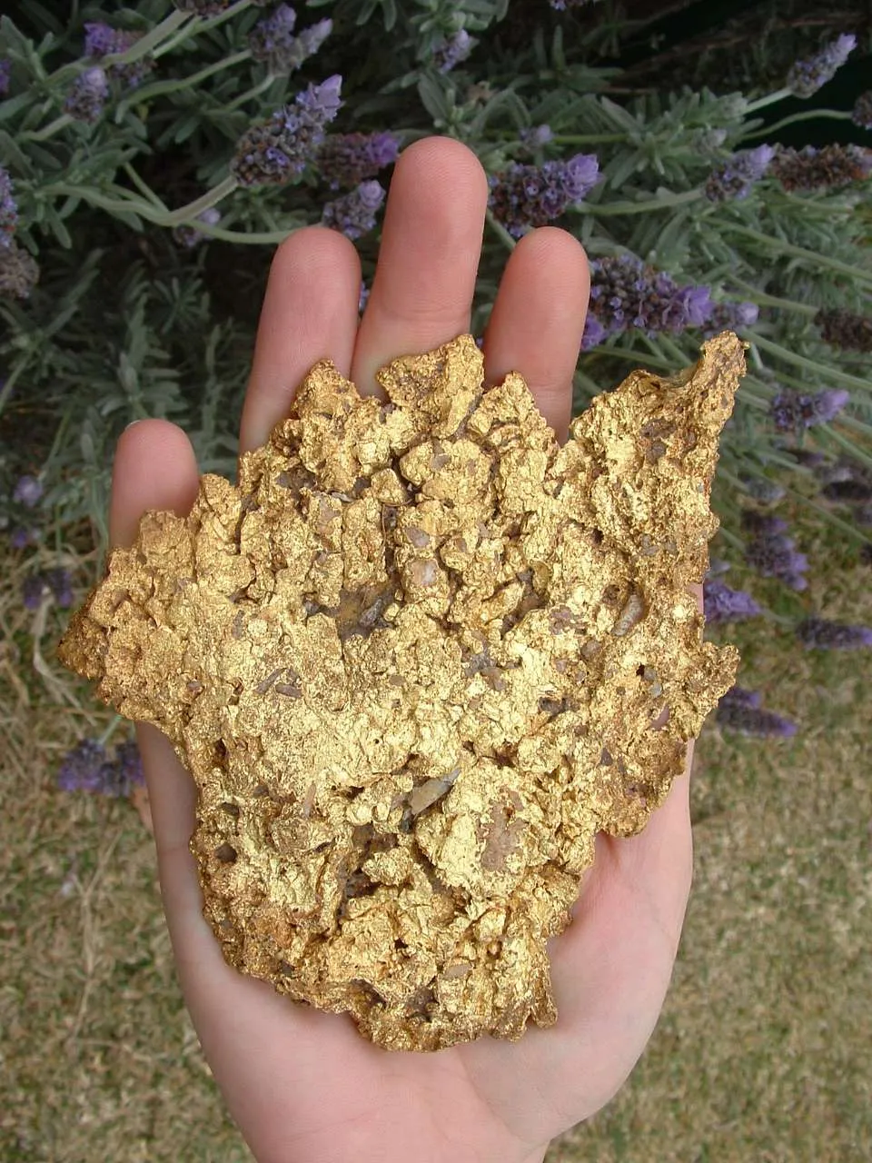 Gold - The Providence Nugget - image 3