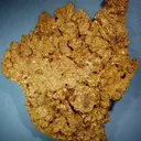 Gold - The Providence Nugget - image 1