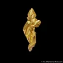 Gold (twinned) - image 2