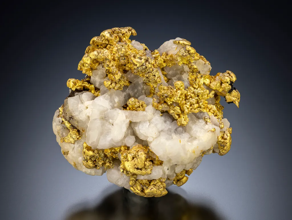 Gold, Wanlockhead/Leadhills, South Lanarshire, Scotland.  4.8 cm across image