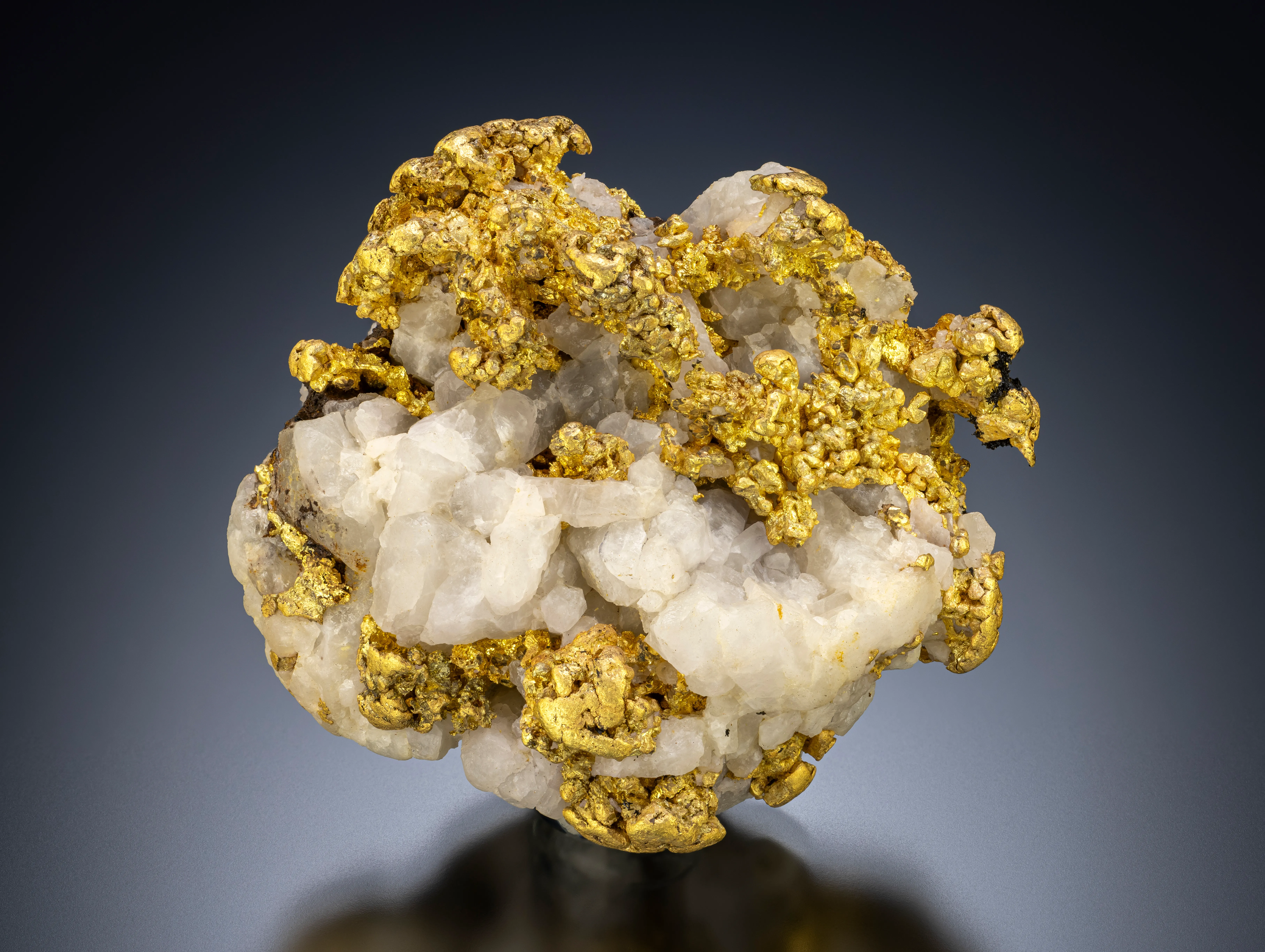 Gold, Wanlockhead/Leadhills, South Lanarshire, Scotland.  4.8 cm across - image 1