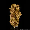 Gold (wire crystalline) - image 4