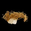 Gold (wire crystals) - image 2