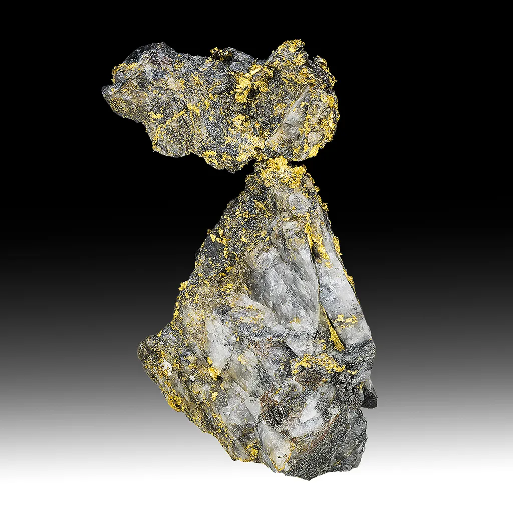 Gold with Arsenopyrite, Quartz image