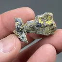 Gold with Arsenopyrite, Quartz - image 2
