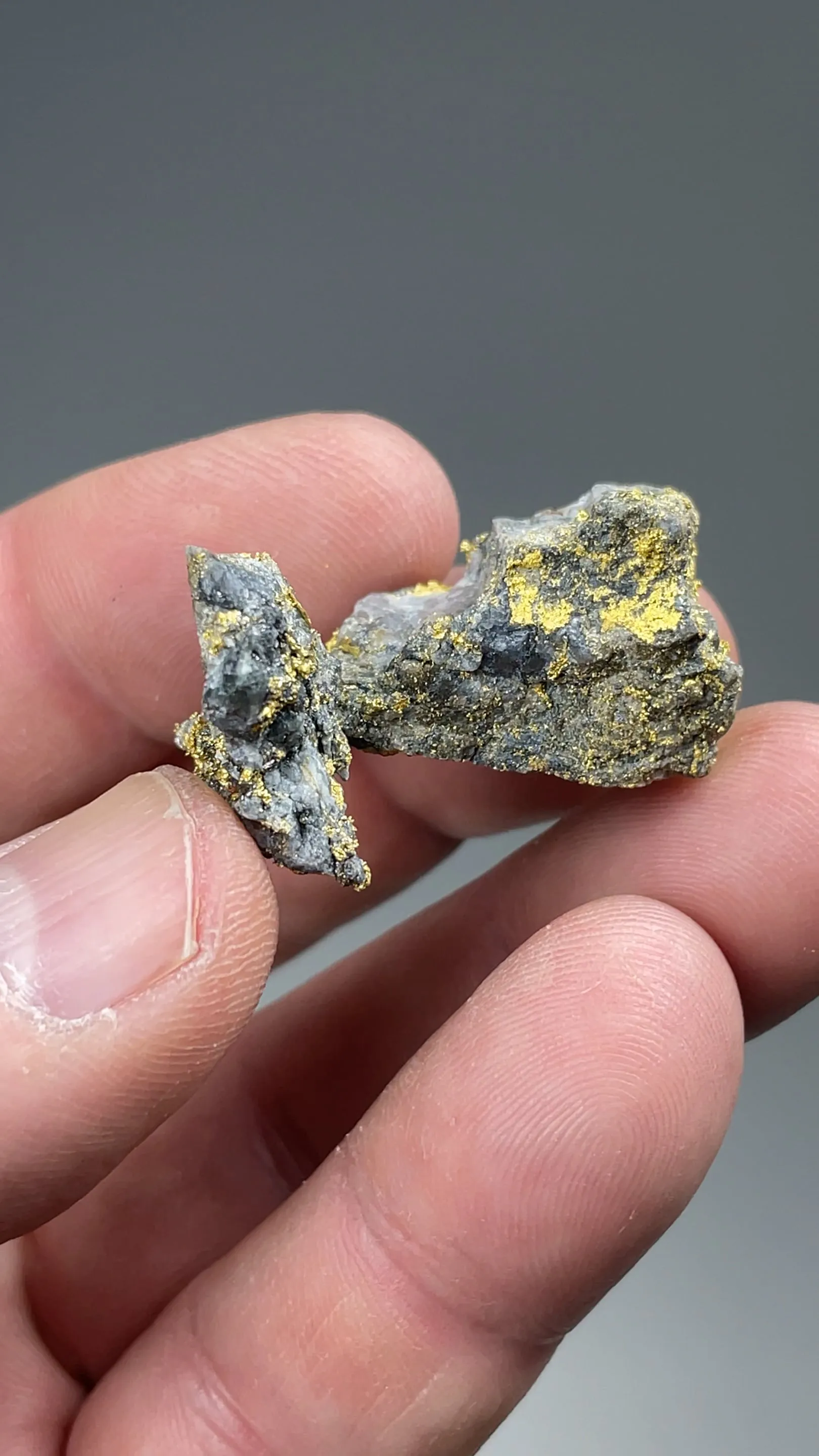 Gold with Arsenopyrite, Quartz - image 2
