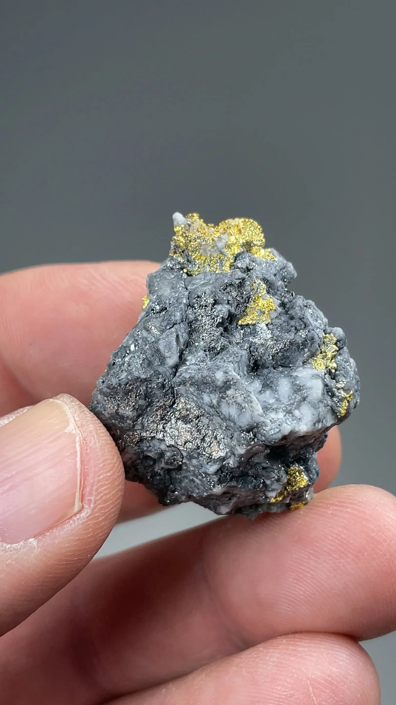Gold with Arsenopyrite, Quartz, Pyrite - image 2