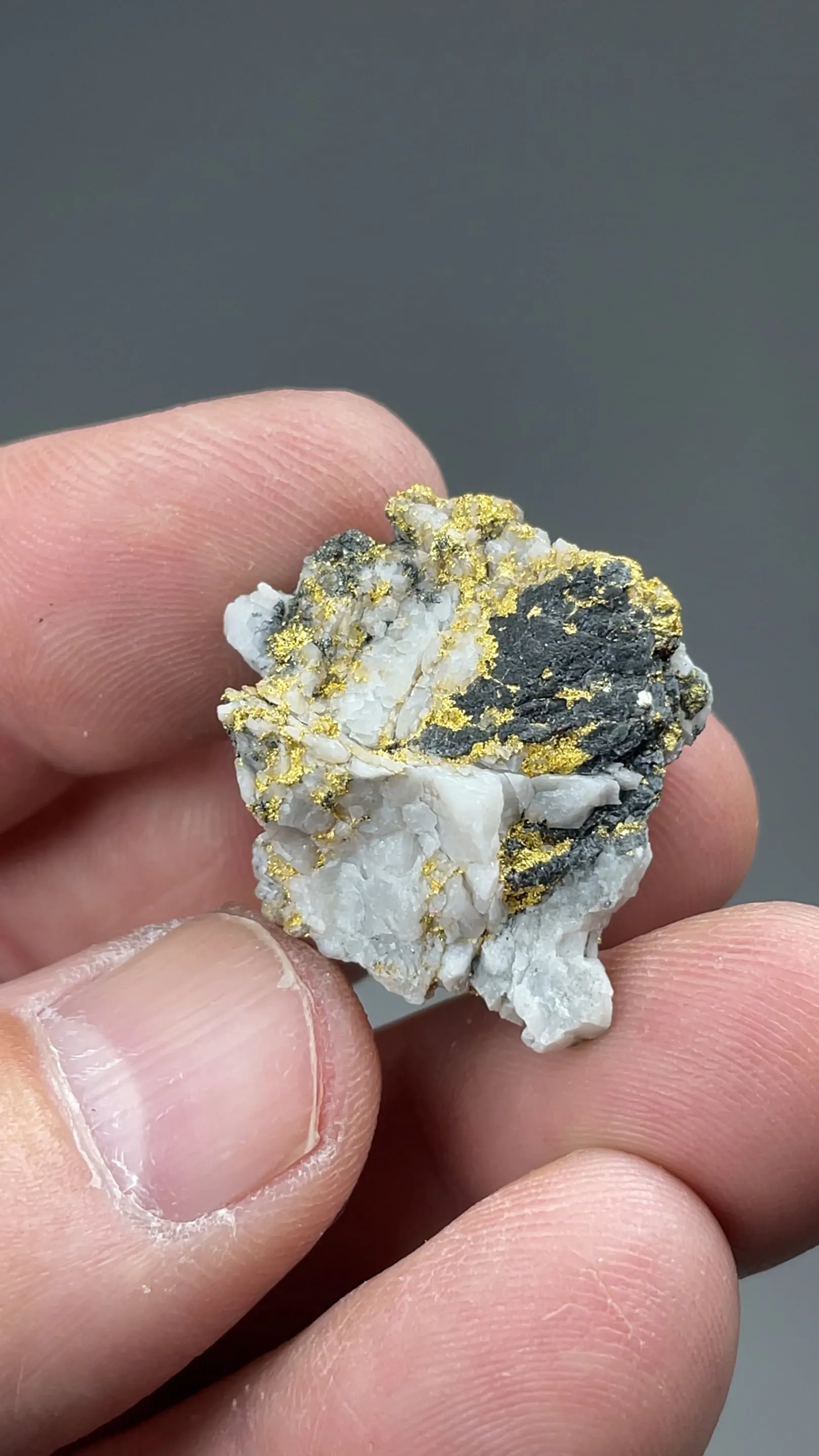 Gold with Arsenopyrite, Sphalerite, Quartz - image 2