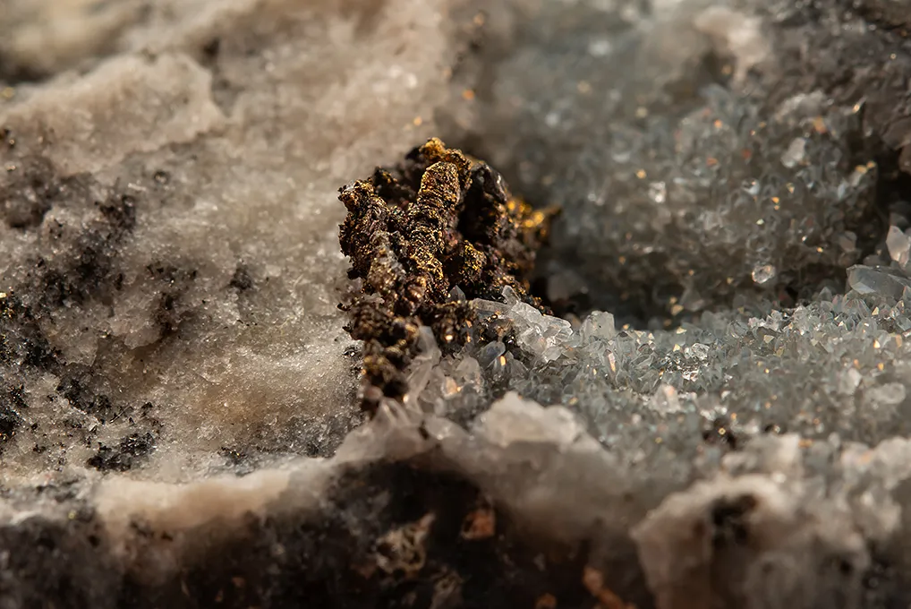 Gold with Hessite - image 2