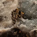 Gold with Hessite - image 2