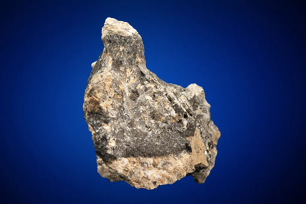 Gold with Hessite - image 4