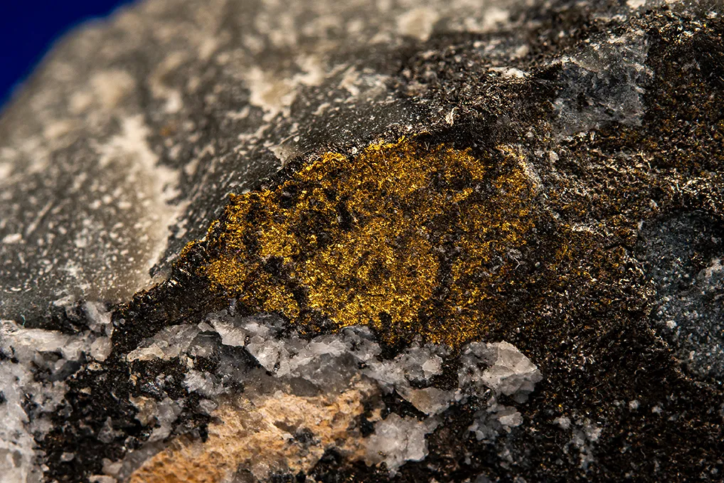 Gold with Hessite - image 2