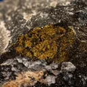 Gold with Hessite - image 2