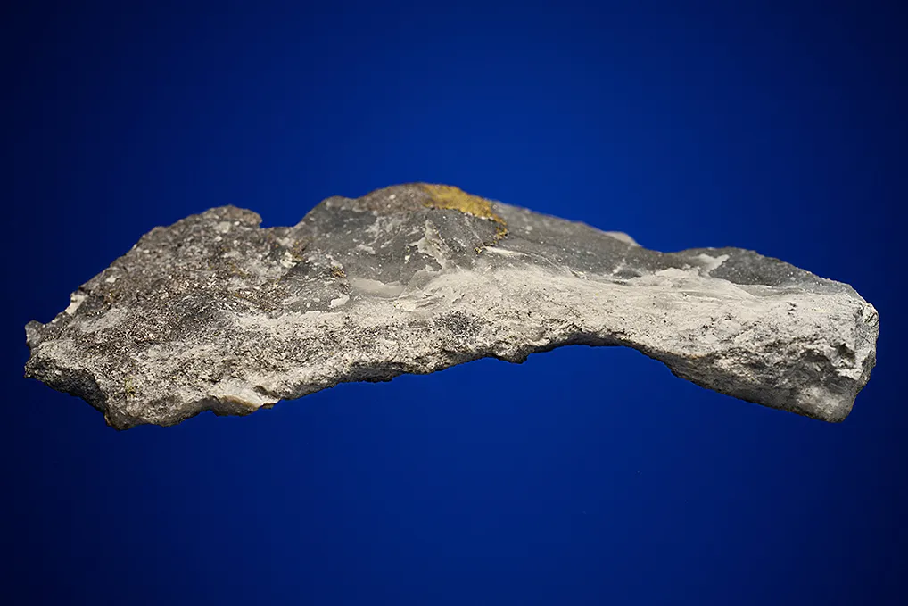 Gold with Hessite and PETZITE - image 5