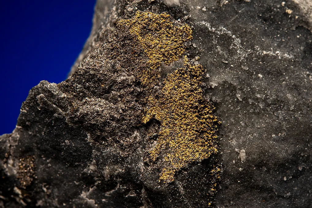 Gold with Hessite and PETZITE - image 2