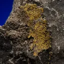 Gold with Hessite and PETZITE - image 2